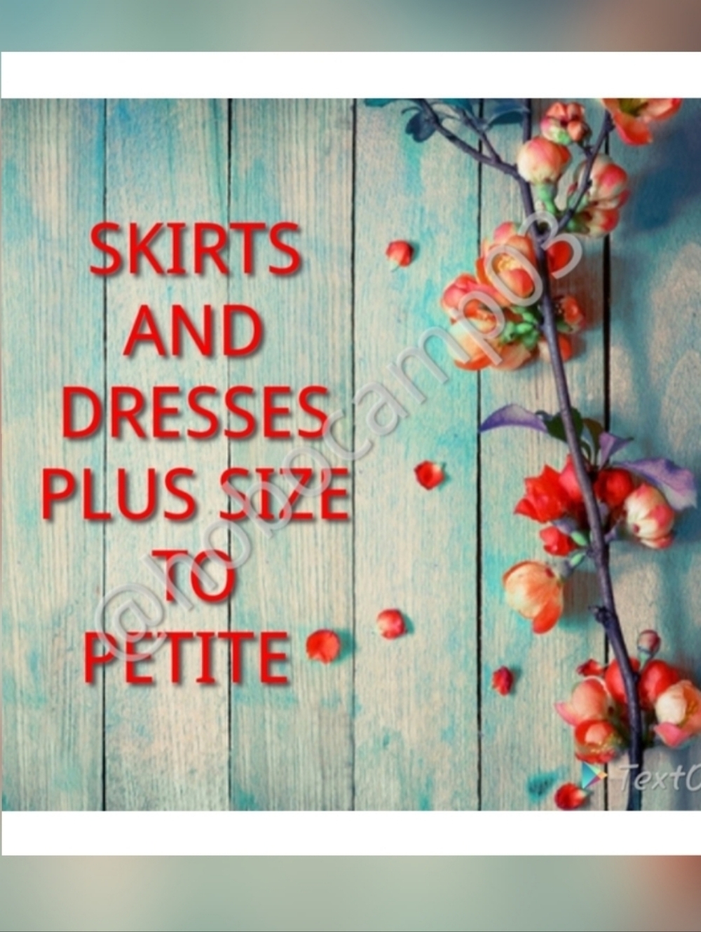 Dresses and Skirts all sizes!